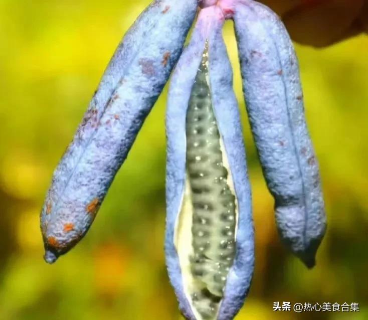 奇葩水果开箱合集,这些奇葩水果你见过吗