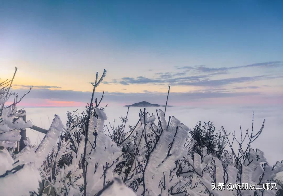 清远金子山旅游攻略看雾凇,广东金子山雪景旅游攻略