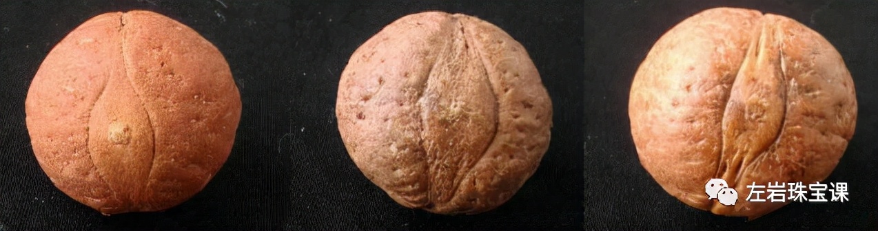 凤眼菩提怎么选才是好的,凤眼菩提挑选标准