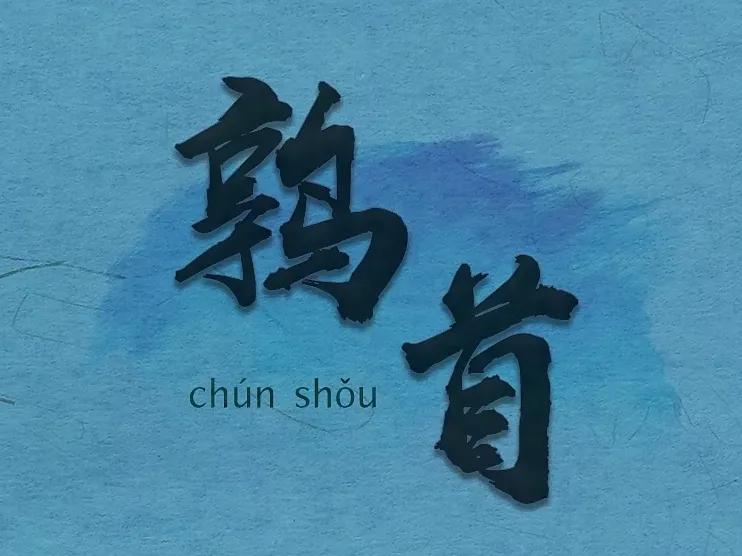 中国的十二星座你知道吗,史上最标准的十二星座