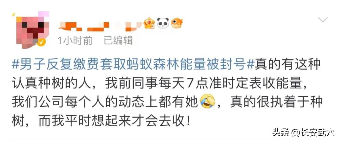 男子蚂蚁森林种树太上头被封号！4个小号养一个主号，反复缴纳水电费并退费套取“绿色能量”……