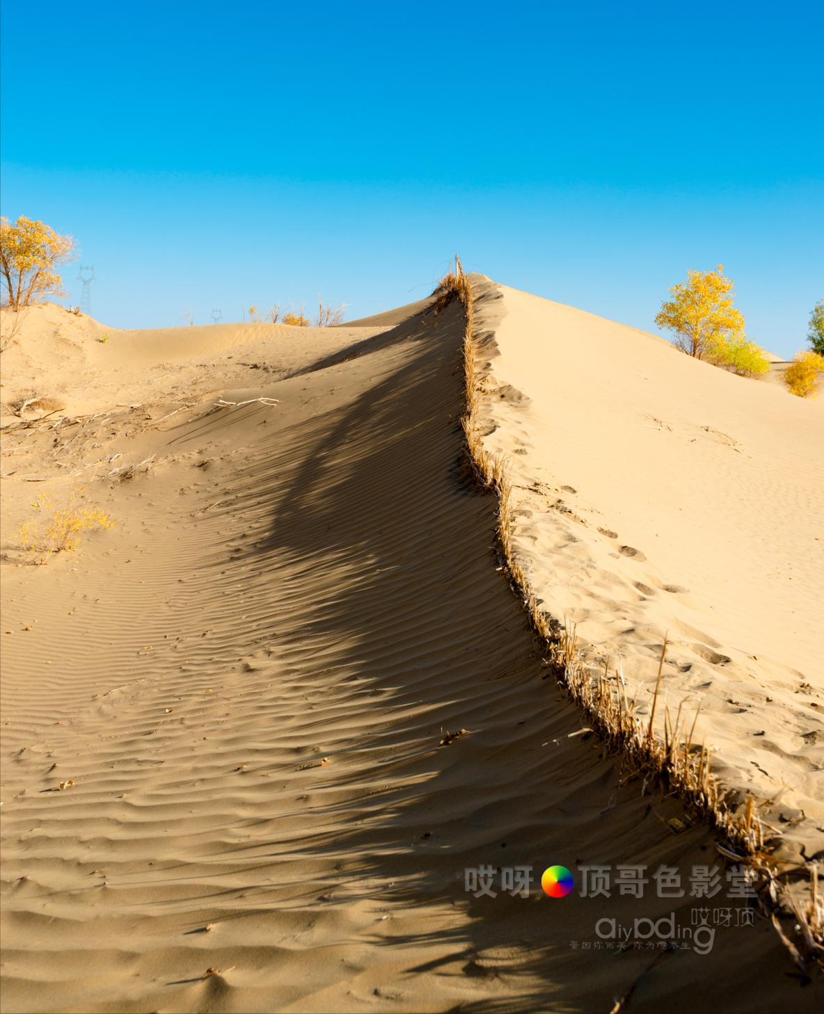女司机带娃去新疆自驾游,带着女司机自驾游兰州