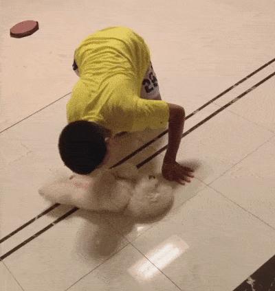 比熊犬老是转圈是什么意思,比熊犬老是翻跟头是什么意思