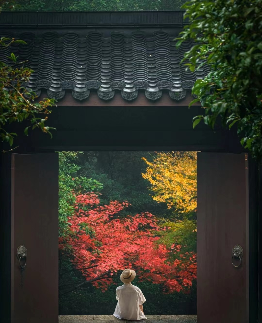 泰国穷游要多少钱,去泰国穷游多少钱