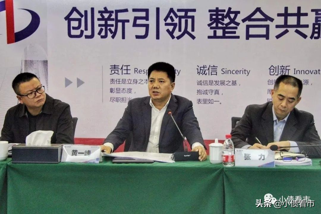 中科控股债务危机,中科控股出现债务危机吗