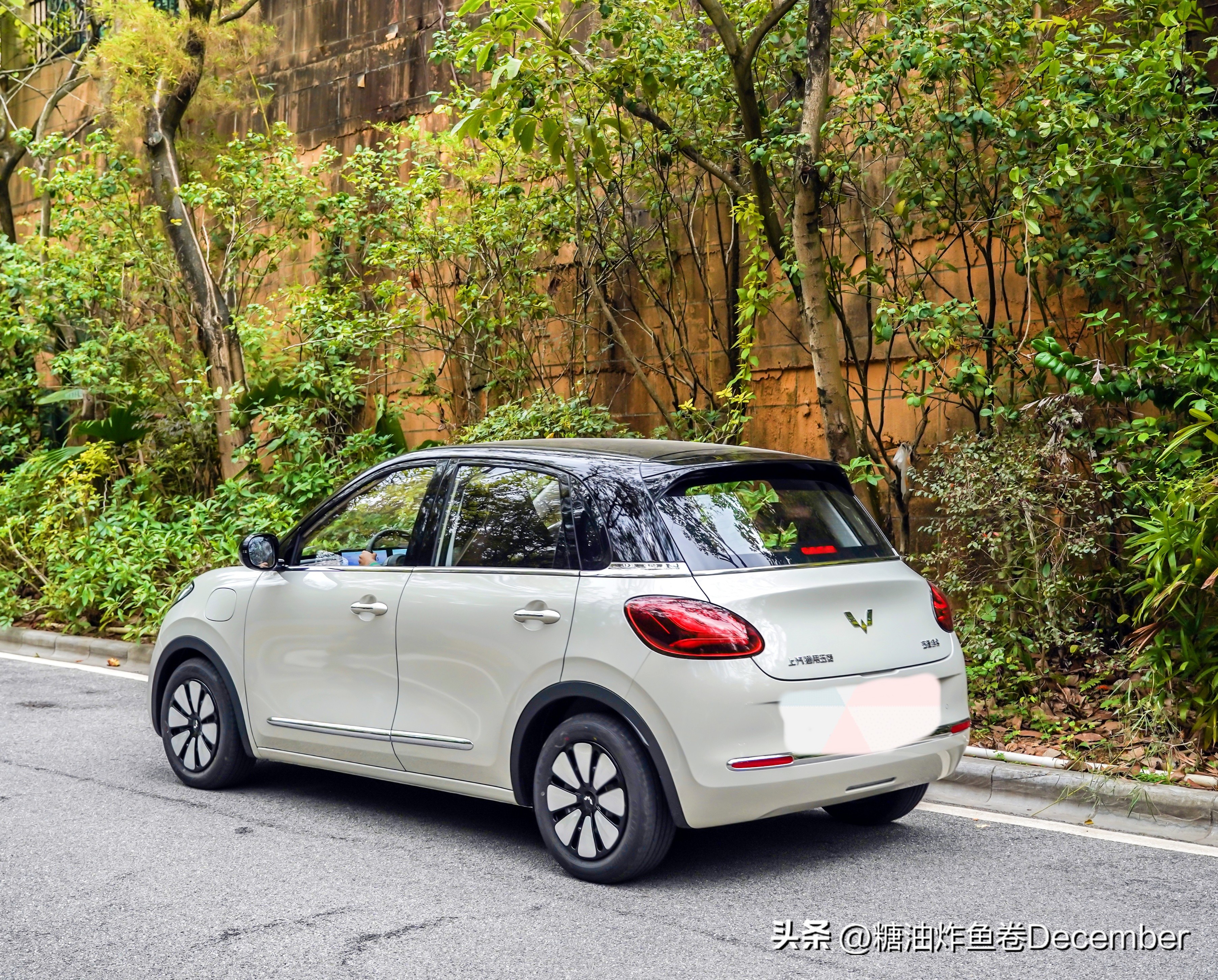 石埠乳业生态观光牧场有限公司,广西石埠乳业生态观光牧场抖音号