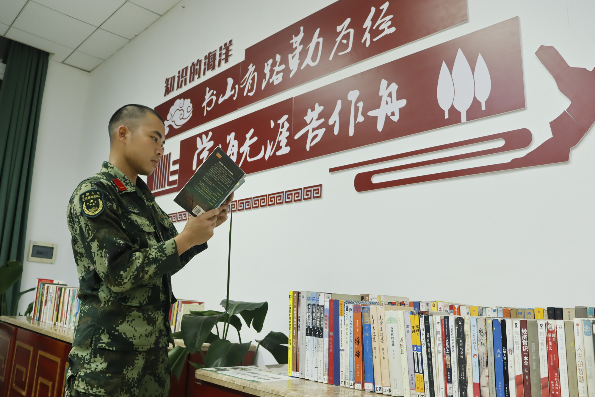 兵哥哥到底有多少技能,兵哥哥新技能介绍