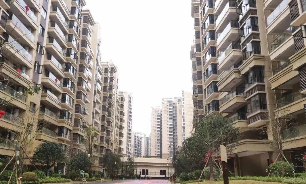 全新加推21栋256大平层,最新楼盘大平层