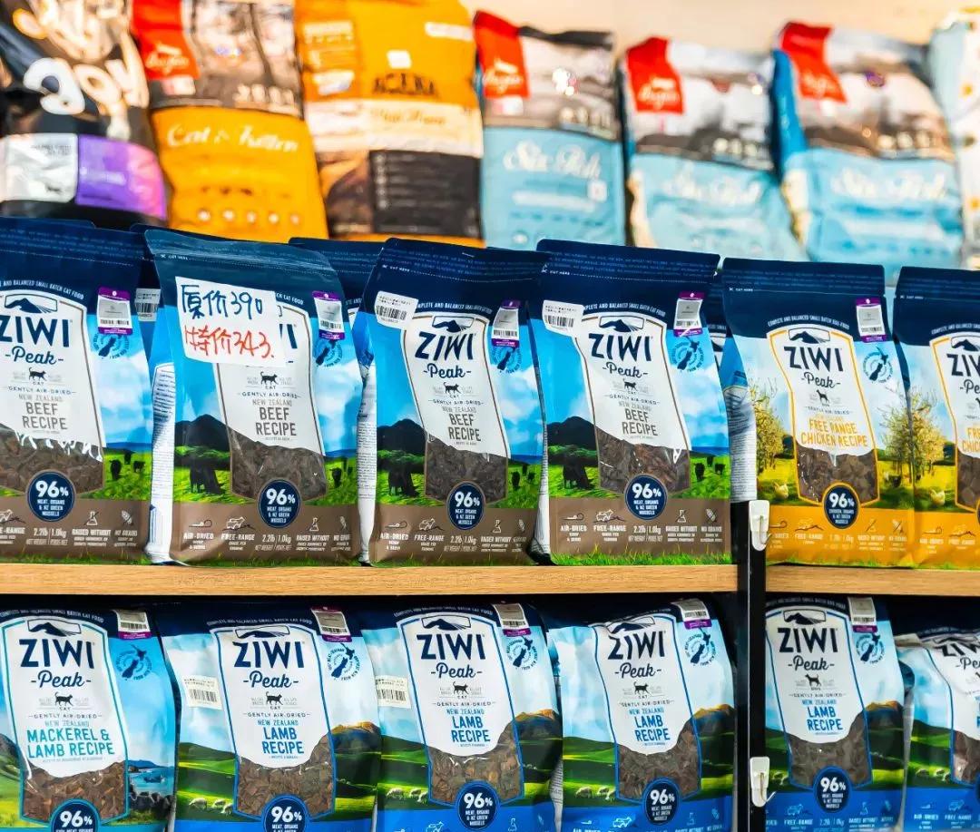 深圳探访宠物店,深圳最好的宠物街