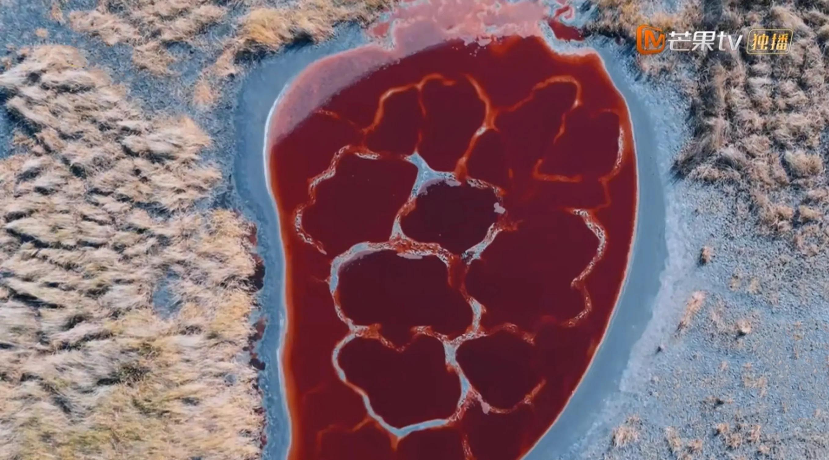 如果更多的人看见,哥哥们在滚烫路途中的“滚烫人生”