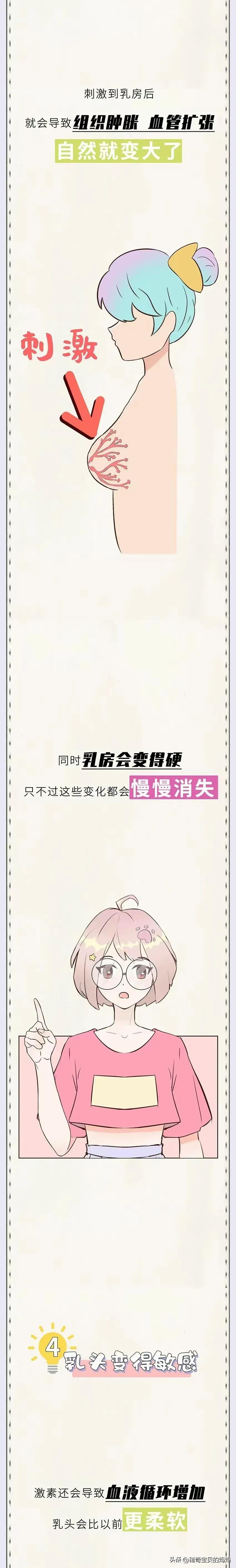 女生姨妈前后四个阶段漫画,女生的一生要经历几个阶段漫画
