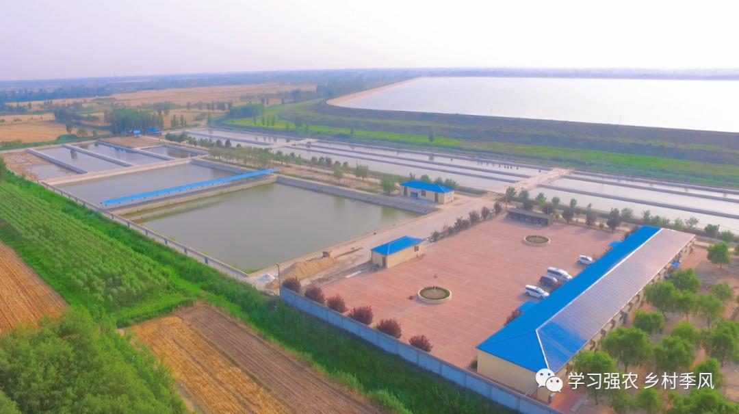 建筑老板养泥鳅，跻身“农民合作社500强”