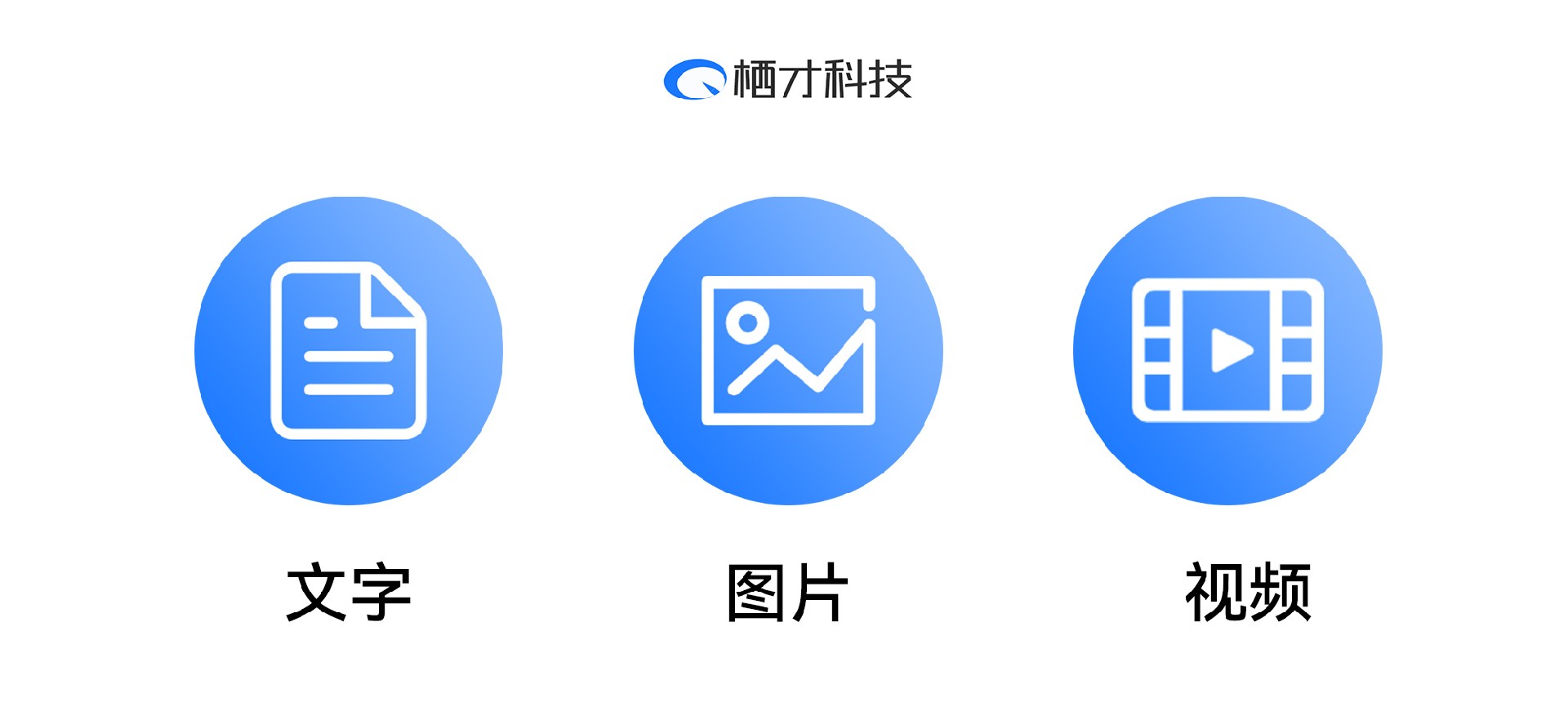 建网站做网站费用,建网站做网站