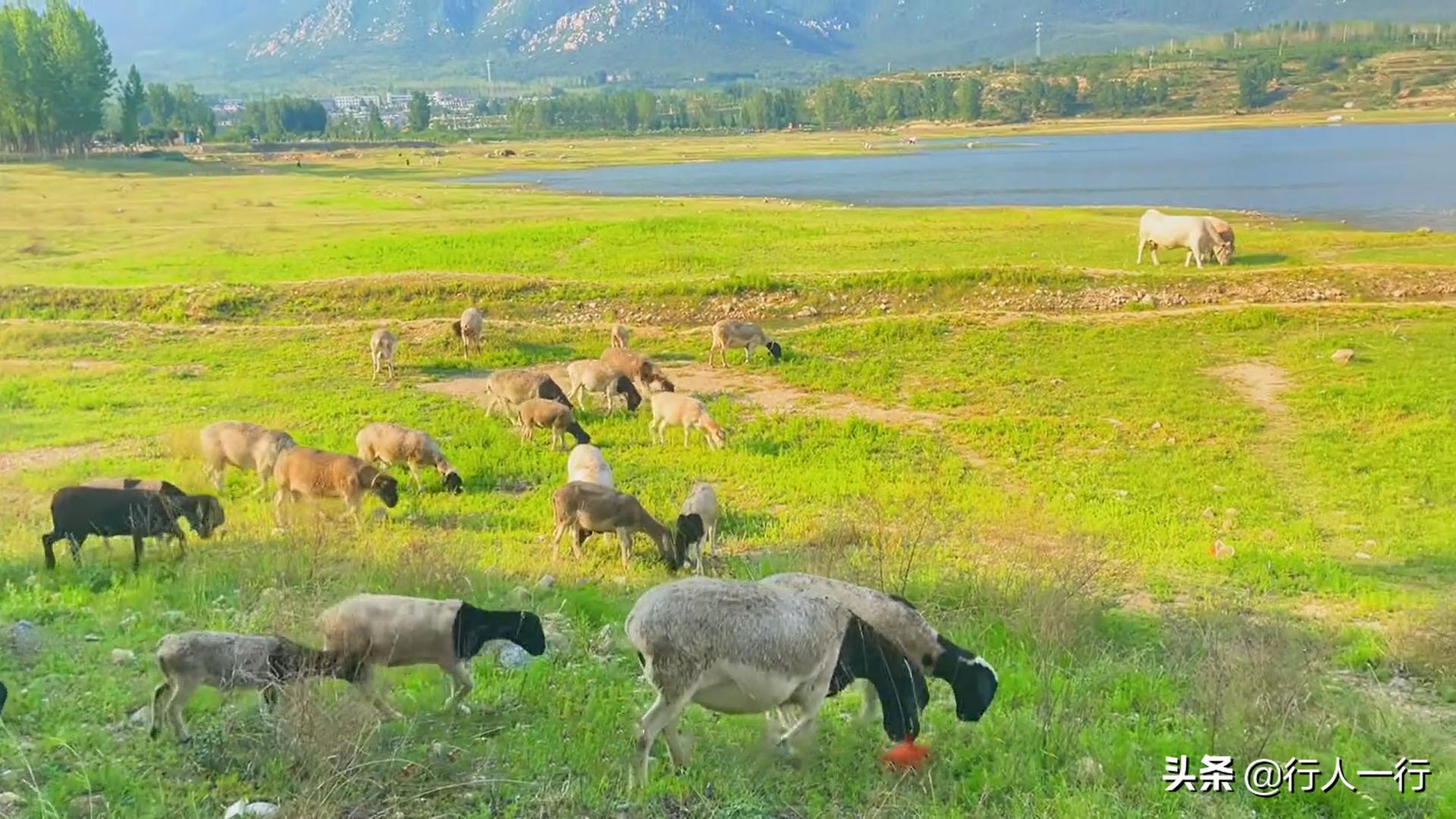 郑州周边夜晚露营地推荐,郑州露营旅游地点推荐
