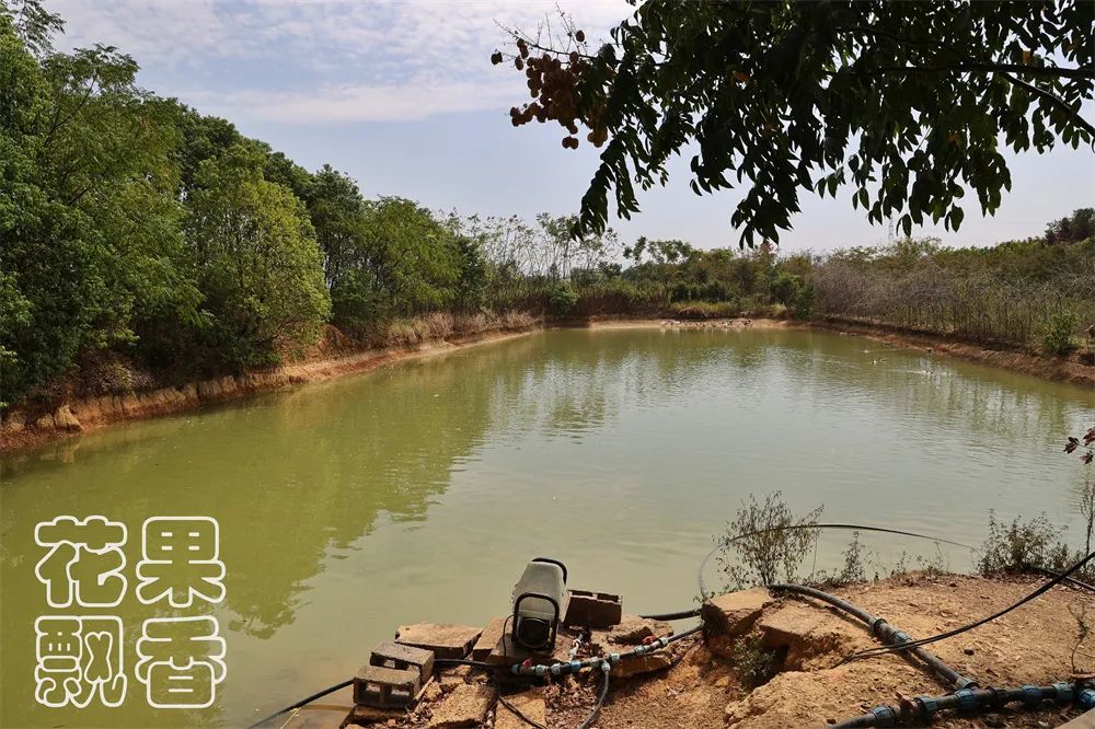老农告诉大家农作物种植,农资人对农户的忠告