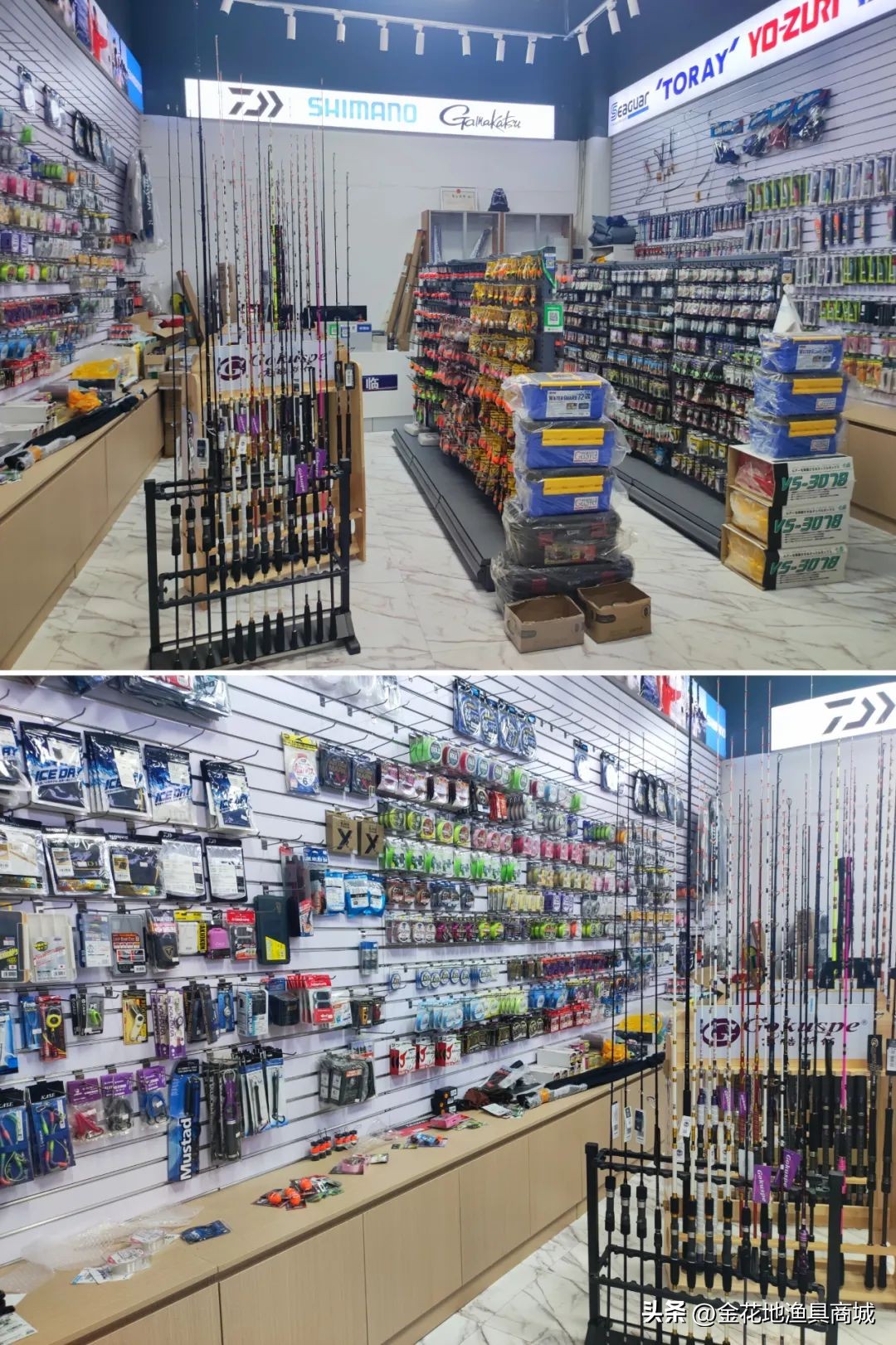 金花地渔具直播,金花地秋季渔具