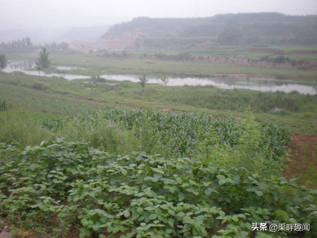 横水卸甲坪旅游路线,横水卸甲坪风景
