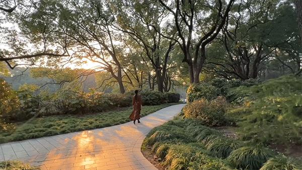 魔都，隐蔽60年的花园酒店，一窗一檐都是故事