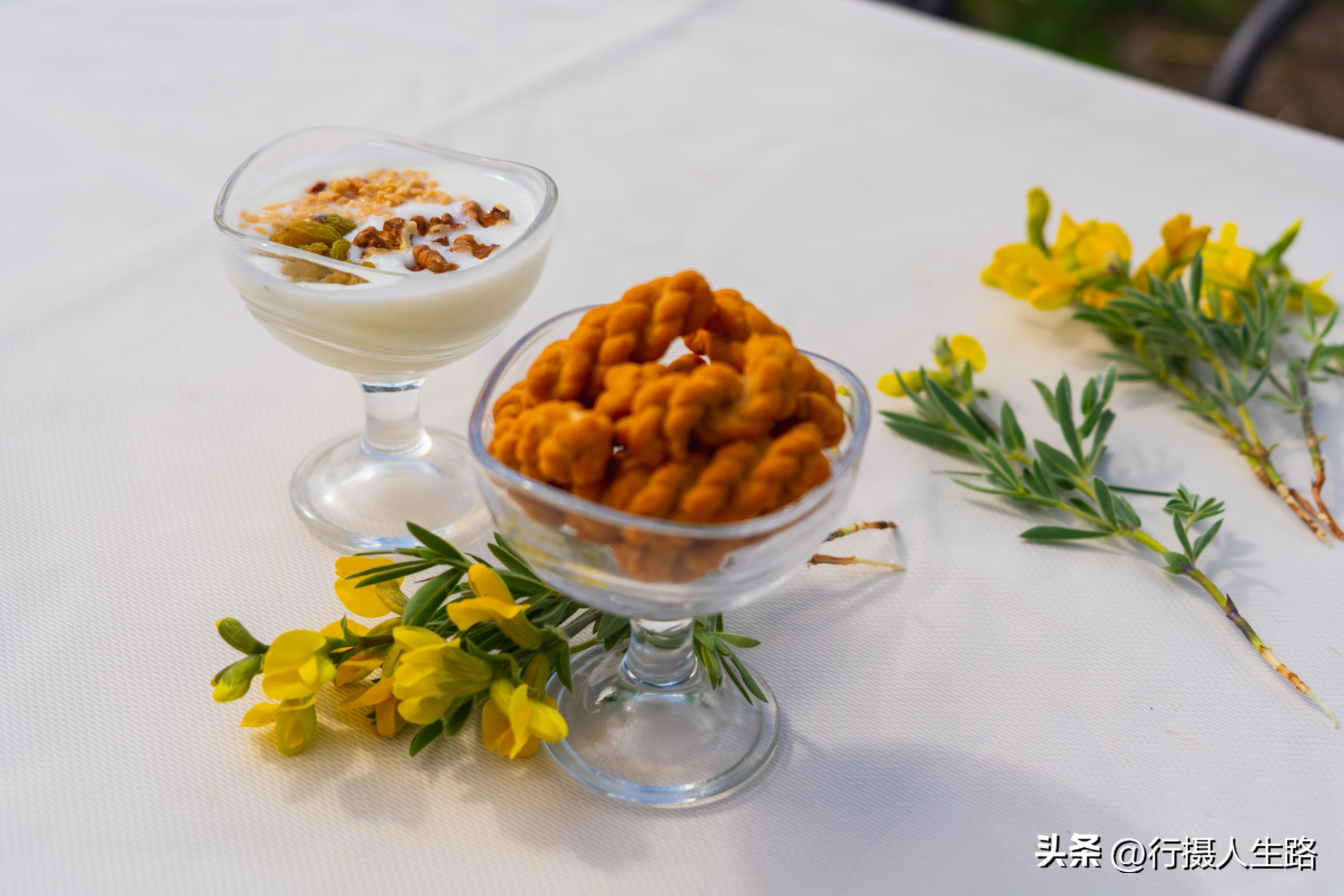 一路向北去黑龙江漠河,一路向北去寻找花海