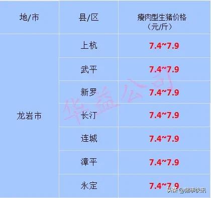 猪价快讯福建,猪价走势最新消息福建