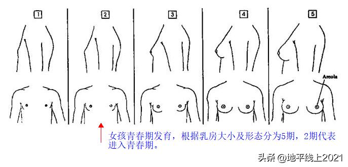 女孩子的青春期会持续多久,女孩青春期得几年