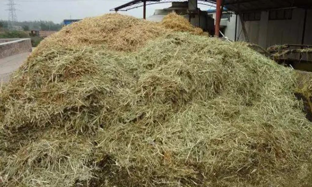 出售秸秆为什么不坏,秸秆能卖钱吗