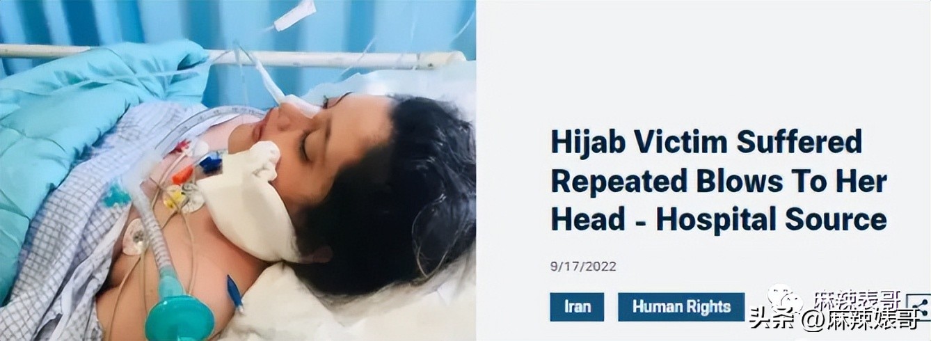 金晨模仿卡塔尔小王子晒照,金晨模仿卡塔尔王子被起诉了吗