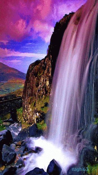 好看的山水花鸟大全,中国风山水花鸟图片