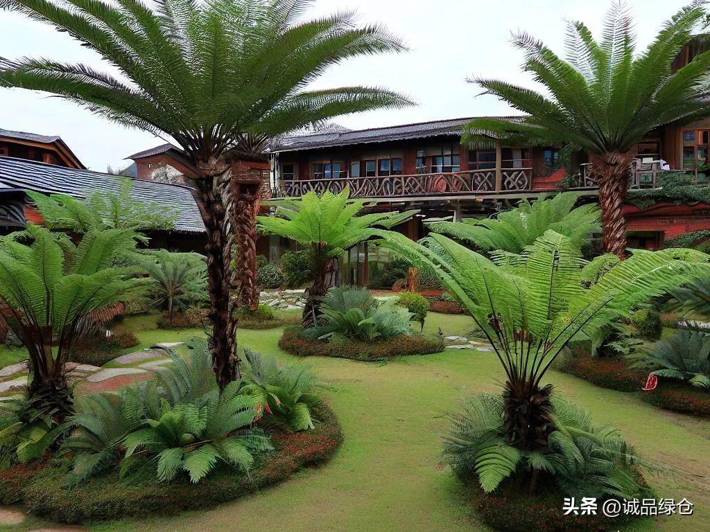 铁树和恐龙的区别,铁树如同植物界的鸭嘴兽