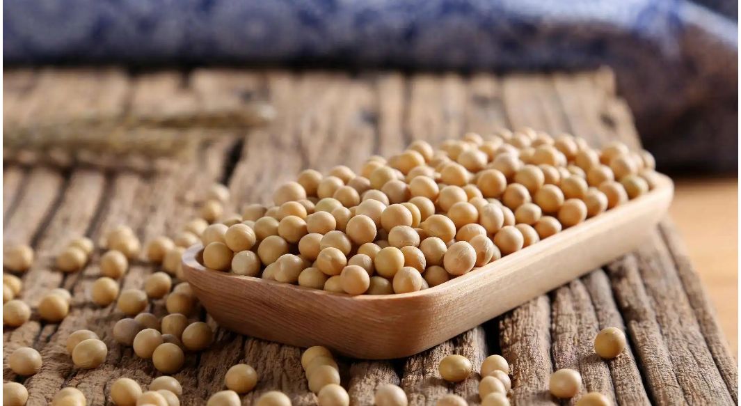 疫情期间必备三件东西清单,疫情放开居家必备物品清单