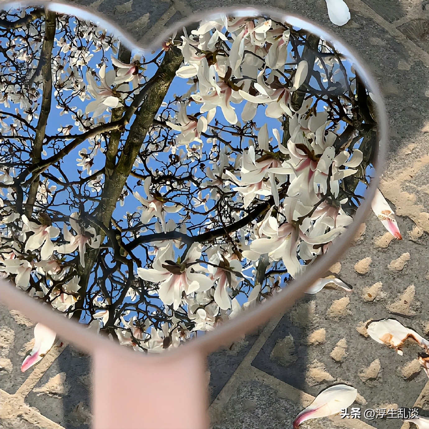 撩人且高级的微信状态文案,微信状态文案高级感带图