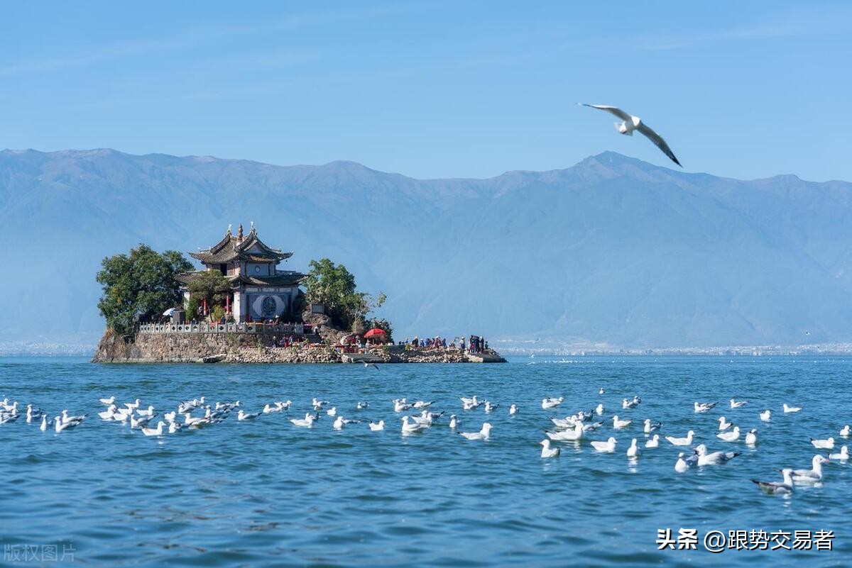 为什么亏损的股票反而涨得好,上市公司业绩亏损股票反而涨