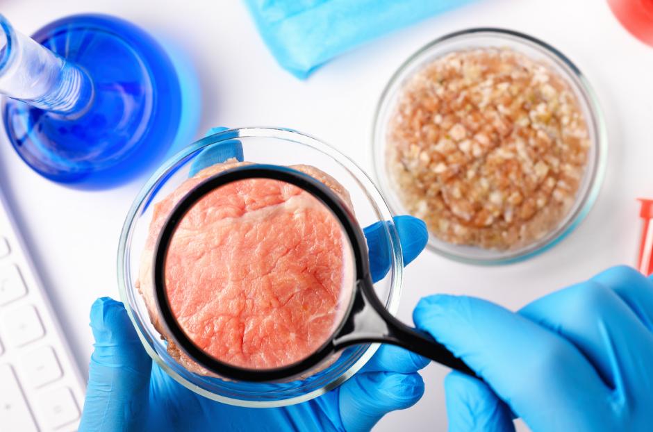 第一块细胞人造肉,人造细胞肉进展