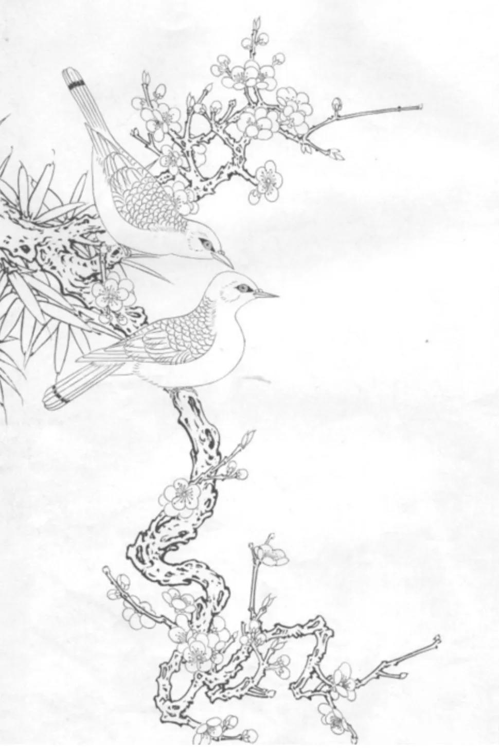 最美的白描作品欣赏,最难得一见的白描