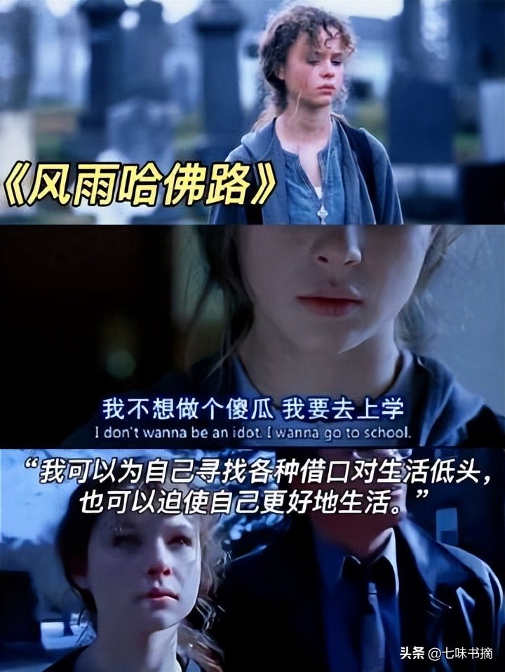 人生迷茫时期看的电影,盘点人生必看的四部高分电影