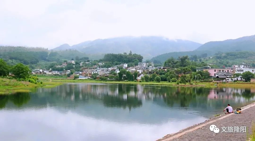 冬樱散场菜花香，蜂飞花间采蜜忙：用一天的时间去邂逅乡野风光