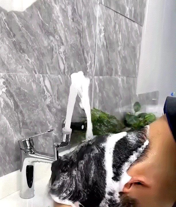 分享精致实用卫生间好物,分享一波浴室好物