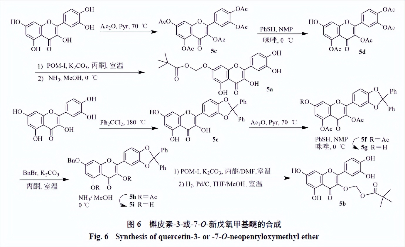 槲皮素的氧化机理,槲皮素的有关药物活性成分