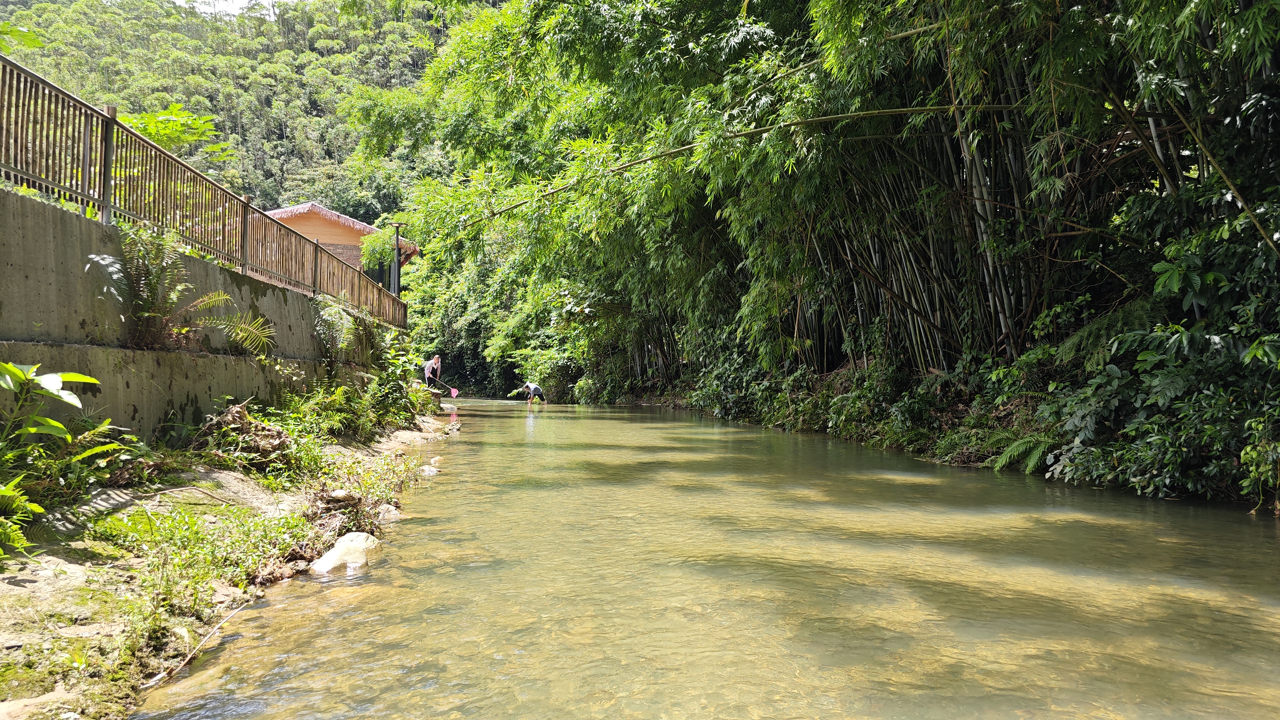 罗浮山温泉品质特色民宿推荐,惠州罗浮山脉下的乡野秘境民宿