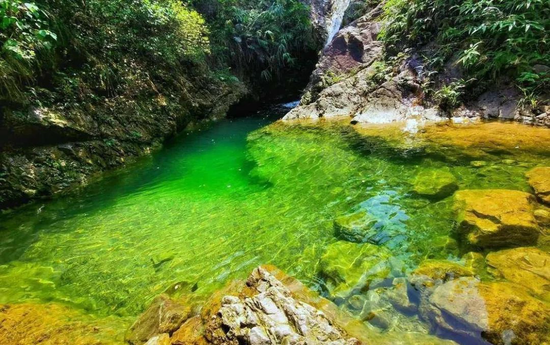 从广州佛山出发的旅游攻略,广州鹤山市旅游