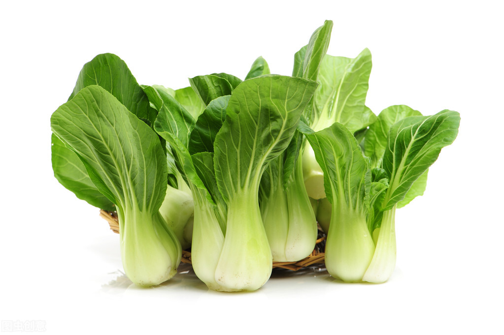 小油菜种植成本利润,种植小油菜前景好吗