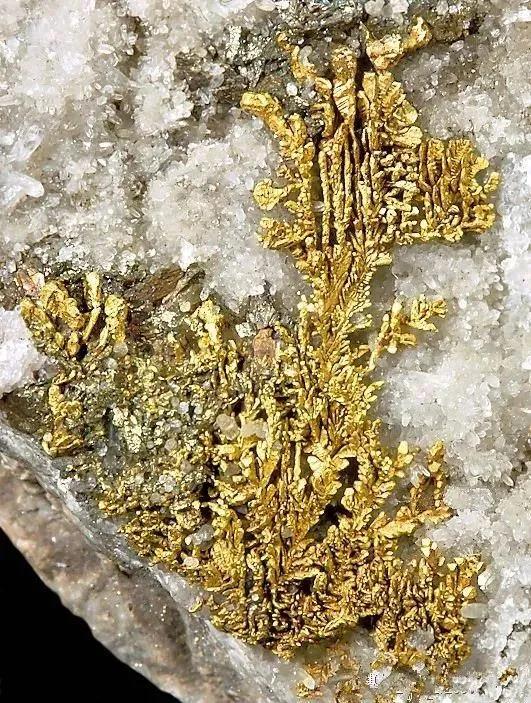 足尖上的中国山东寻宝记,寻宝山东