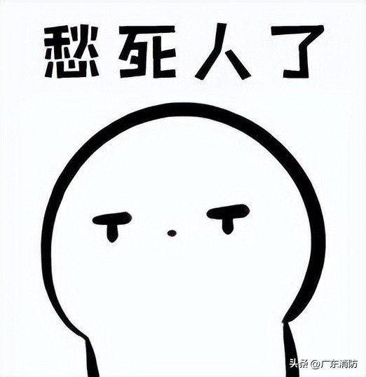 在深山老林捡菌子,夫妻深山捡菌子