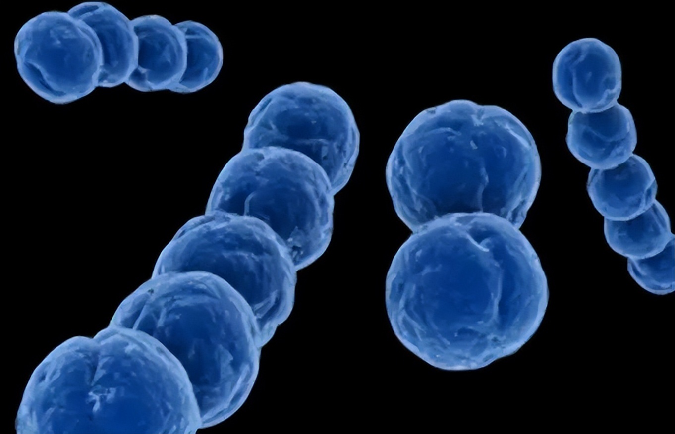 肿瘤一样的“医疗垃圾”，却被很多人当成养生补品，端上餐桌