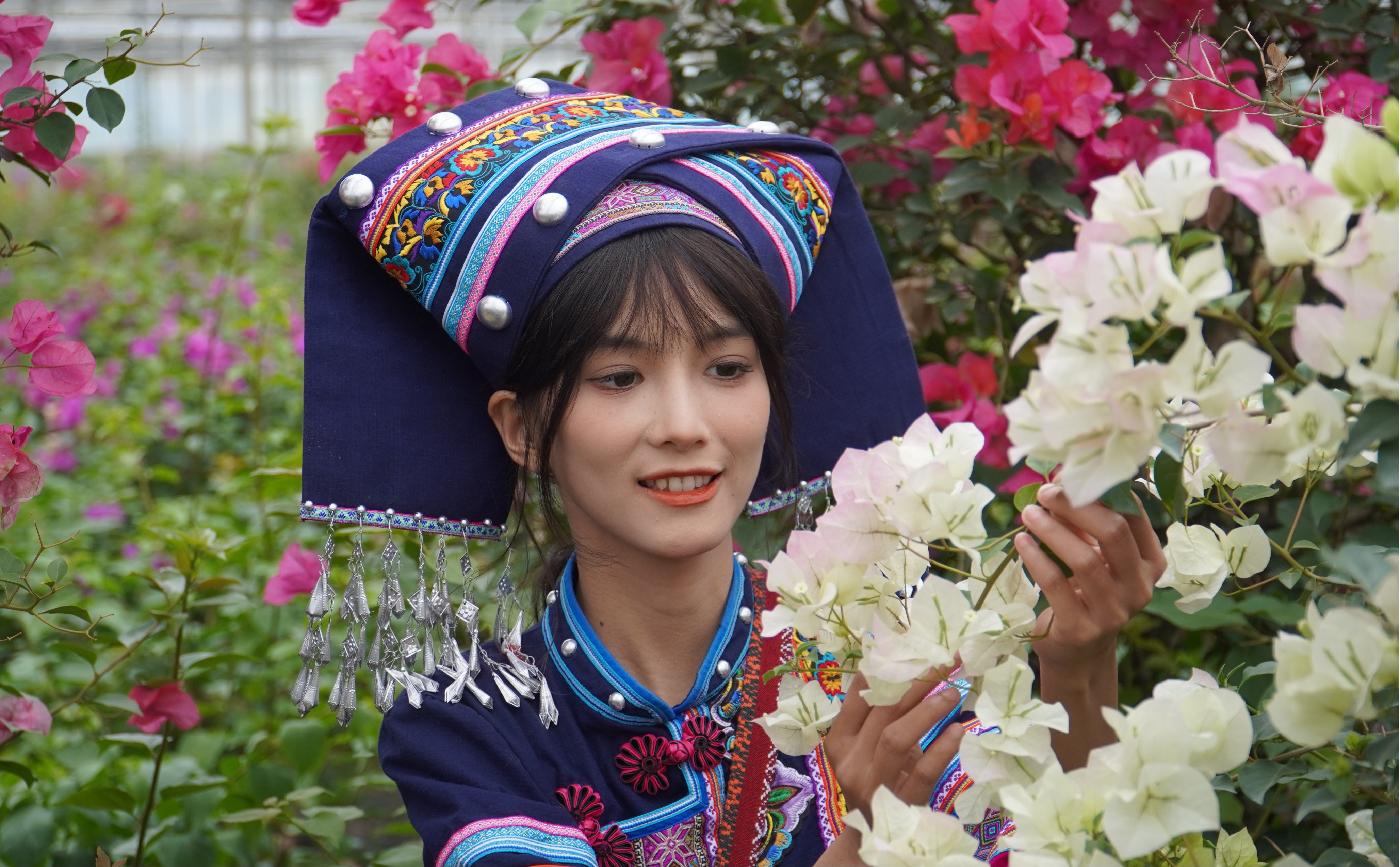 骞胯タ涓婃灄涓栧妗冩簮,鍗楀畞涓婃灄涓栧妗冩簮