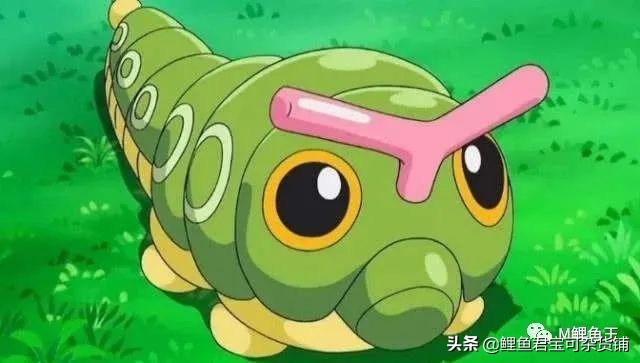 宝可梦进化,宝可梦成长之路