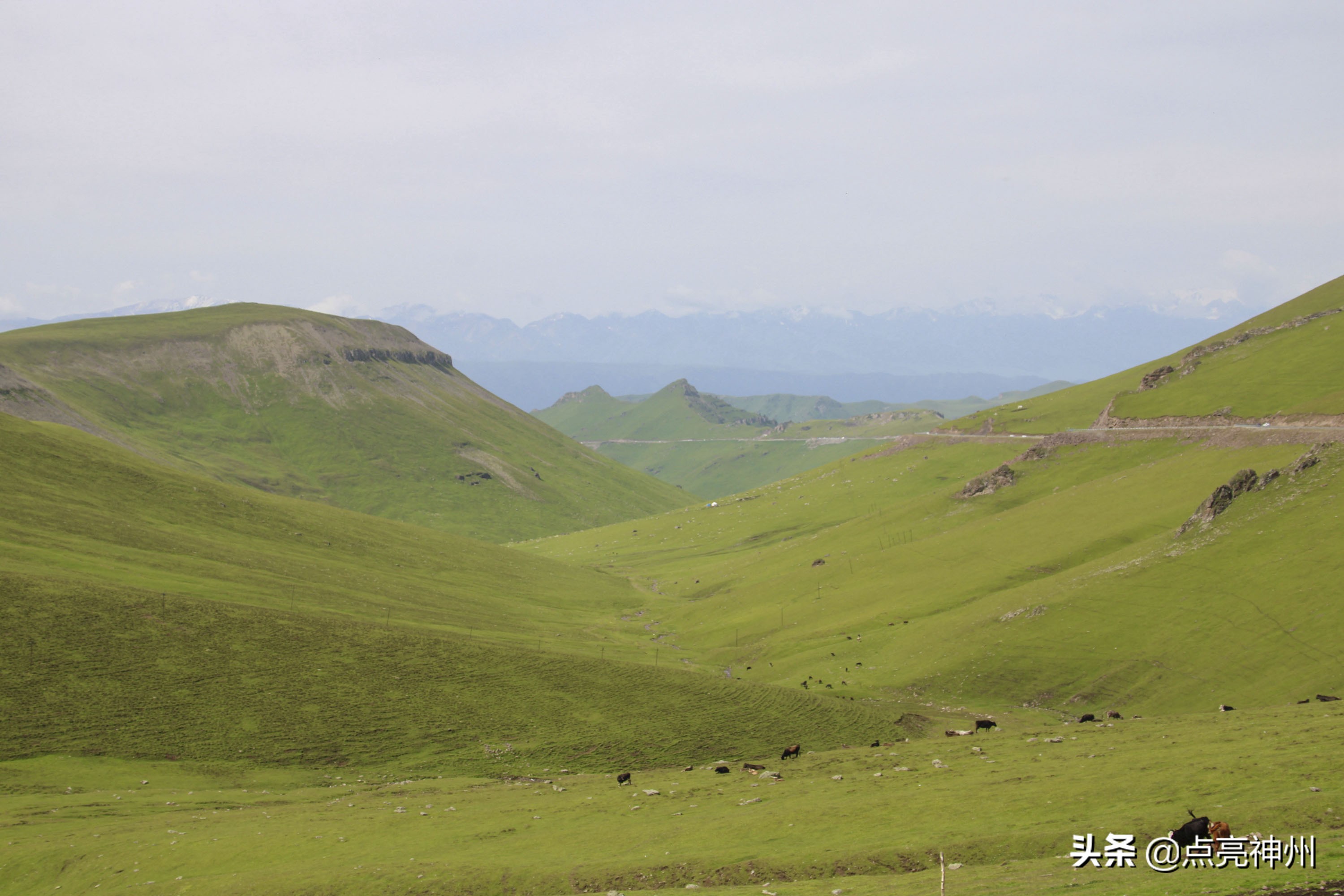 一个外国人眼中的新疆,一个广东游客对新疆的印象