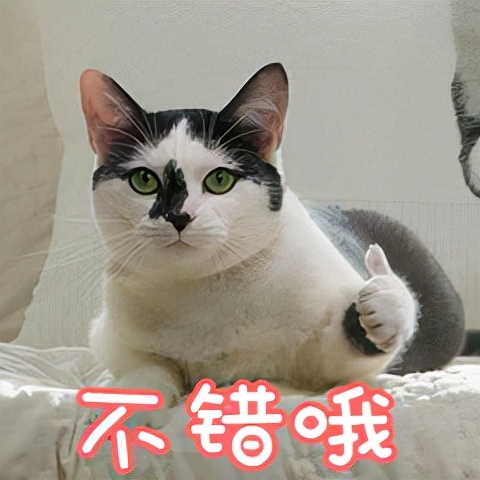 家电选择攻略之冰箱,买冰箱怎样选省电制冷