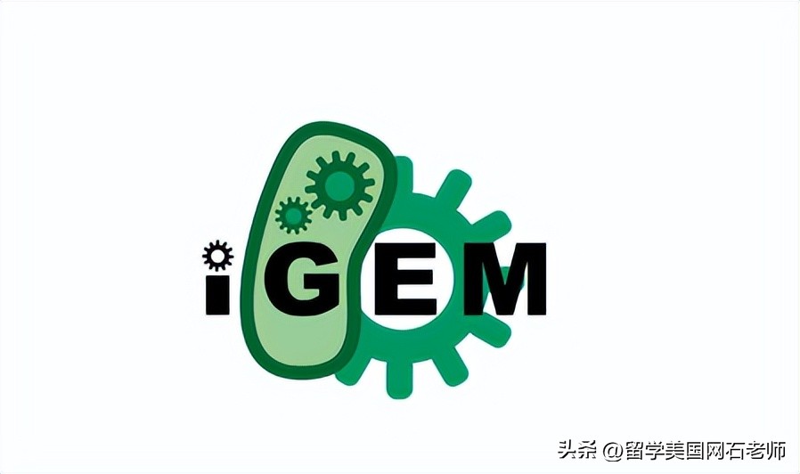 美本申请高含金量生物类竞赛,国际生物竞赛含金量