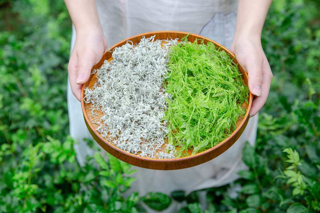 高端莓茶礼盒,小界莓茶怎么泡